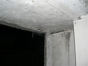 建材與家具 構筑美好家居的雙重基石